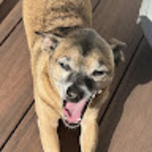 Meet your Posher, Kelsey